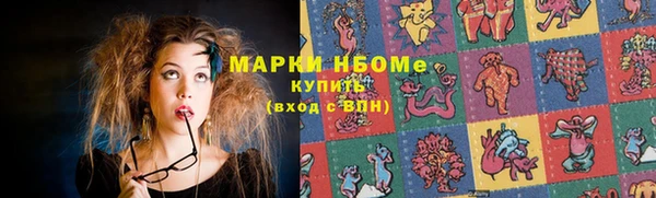 бошки Лабытнанги