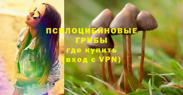 хмурый Кулебаки