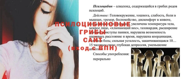 хмурый Кулебаки