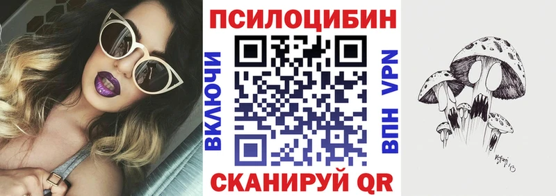 что такое Курчатов Галлюциногенные грибы Magic Shrooms